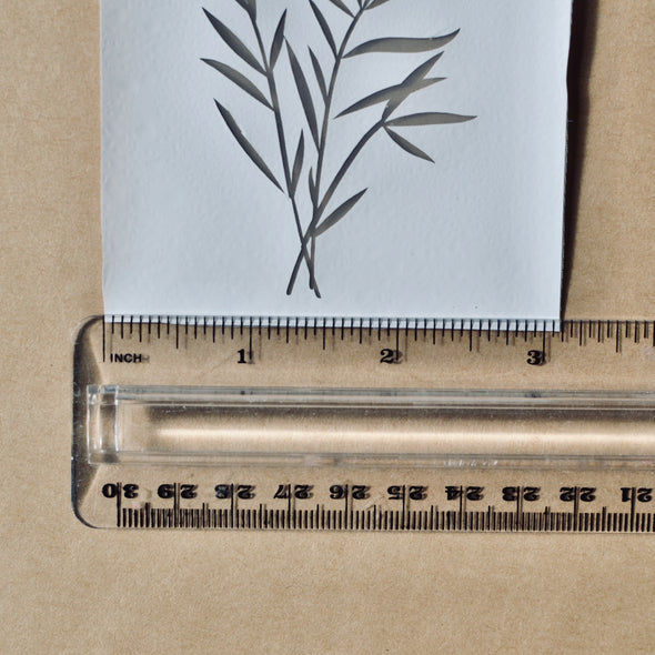 Mini Silkscreen - Bamboo Leaves
