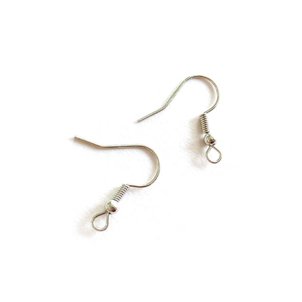Silver Stainless Steel Hook Earrings